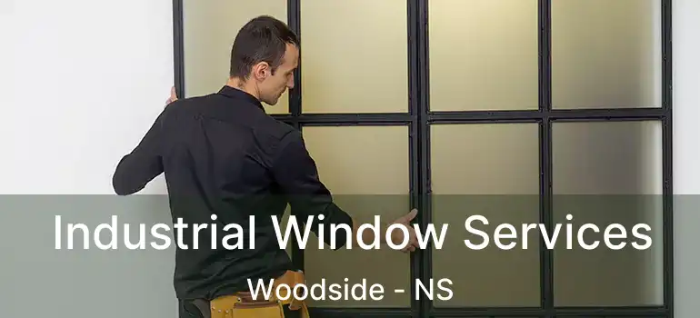  Industrial Window Services Woodside - NS