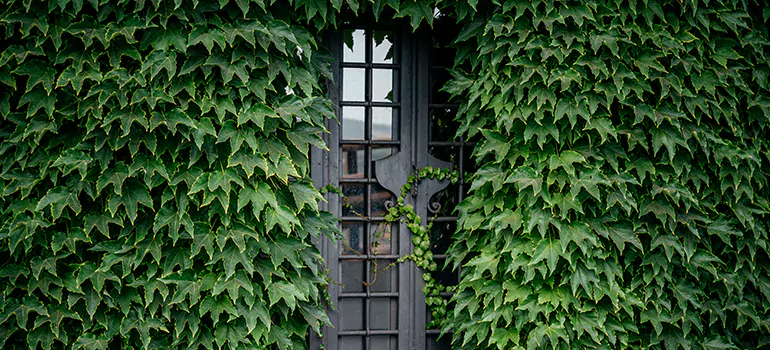 Garden Gate Repair in Rockingham, NS