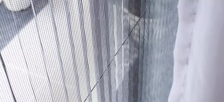 Fixing Screen Window Mesh in Mushaboom, Nova Scotia