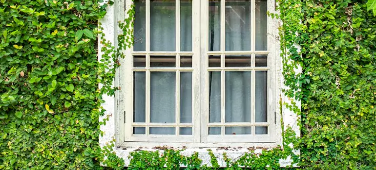 Garden Window Repair Near Me in Timberlea Village, NS