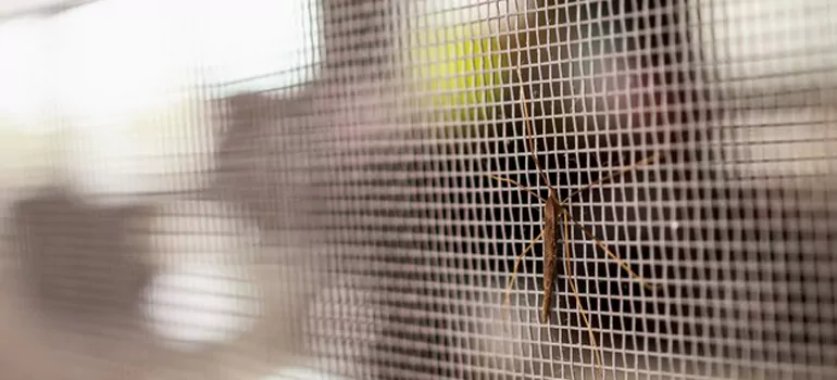 Repair Mosquito Mesh For Windows in Barkhouse Settlement, Nova Scotia