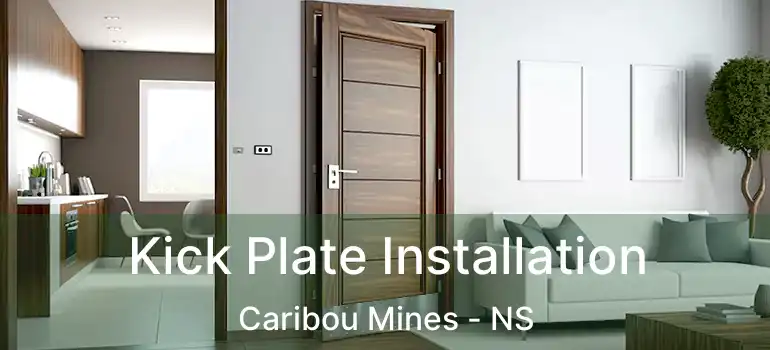  Kick Plate Installation Caribou Mines - NS