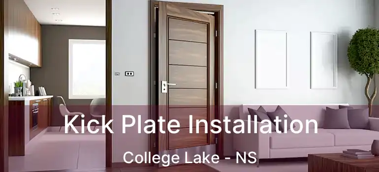  Kick Plate Installation College Lake - NS