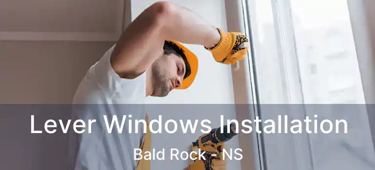  Lever Windows Installation Bald Rock - NS