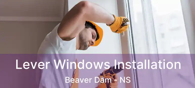  Lever Windows Installation Beaver Dam - NS