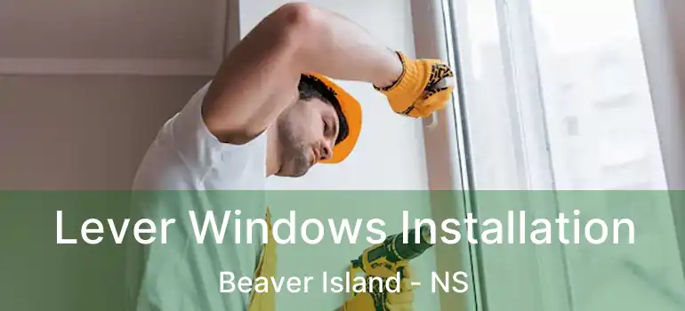  Lever Windows Installation Beaver Island - NS