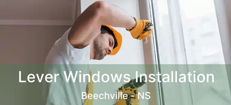  Lever Windows Installation Beechville - NS