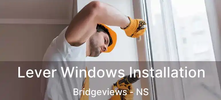  Lever Windows Installation Bridgeviews - NS