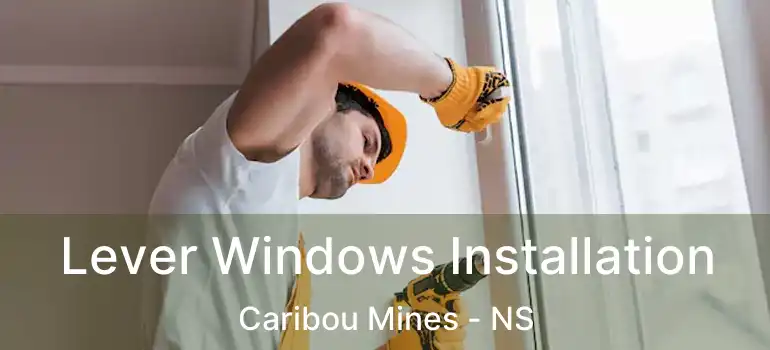  Lever Windows Installation Caribou Mines - NS