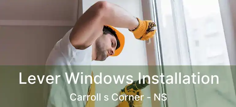  Lever Windows Installation Carroll s Corner - NS