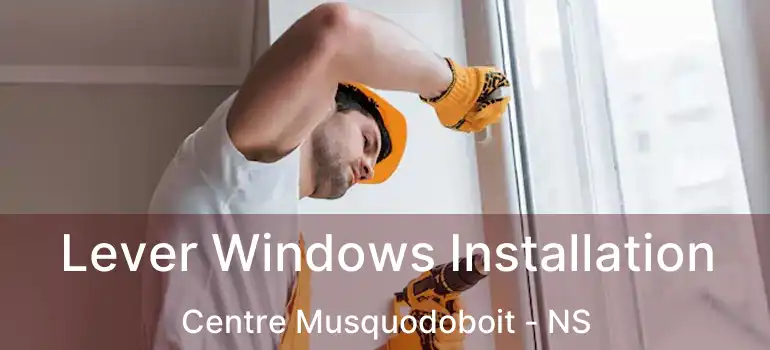  Lever Windows Installation Centre Musquodoboit - NS