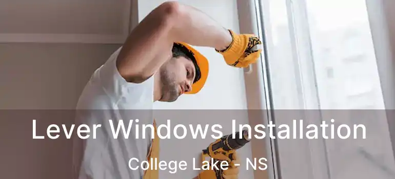  Lever Windows Installation College Lake - NS