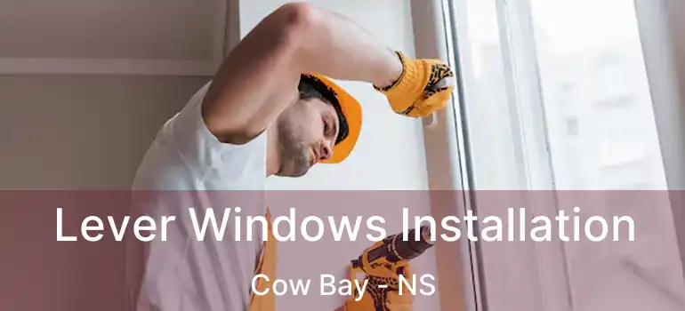  Lever Windows Installation Cow Bay - NS