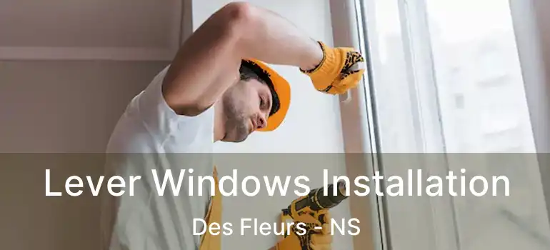  Lever Windows Installation Des Fleurs - NS