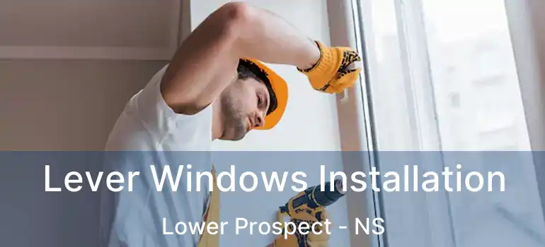  Lever Windows Installation Lower Prospect - NS