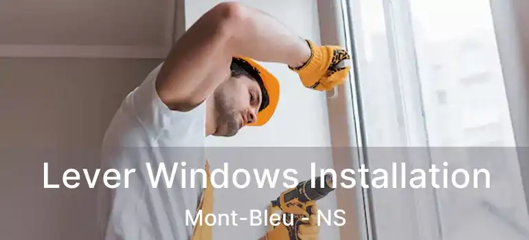  Lever Windows Installation Mont-Bleu - NS