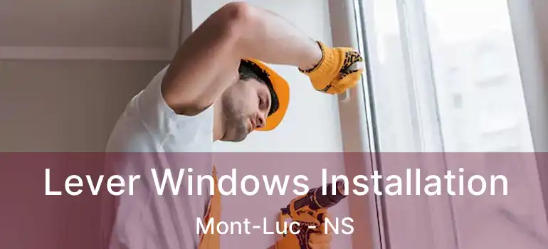  Lever Windows Installation Mont-Luc - NS