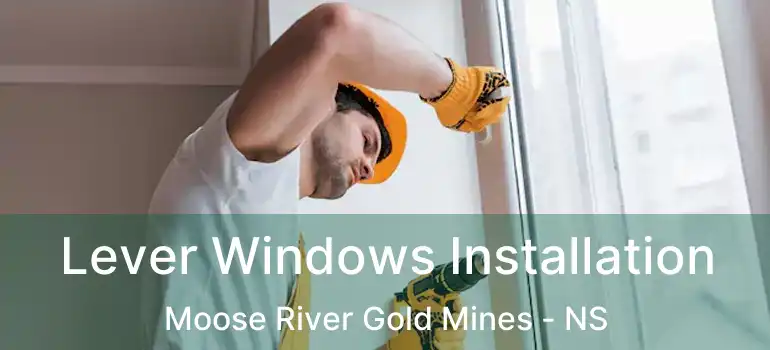  Lever Windows Installation Moose River Gold Mines - NS