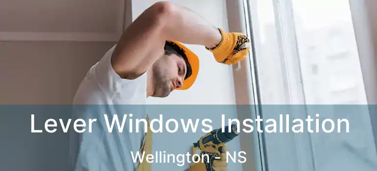  Lever Windows Installation Wellington - NS