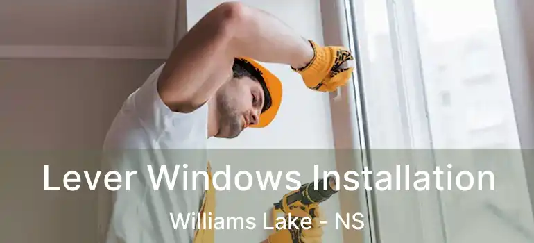  Lever Windows Installation Williams Lake - NS