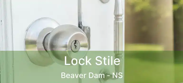  Lock Stile Beaver Dam - NS