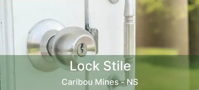  Lock Stile Caribou Mines - NS