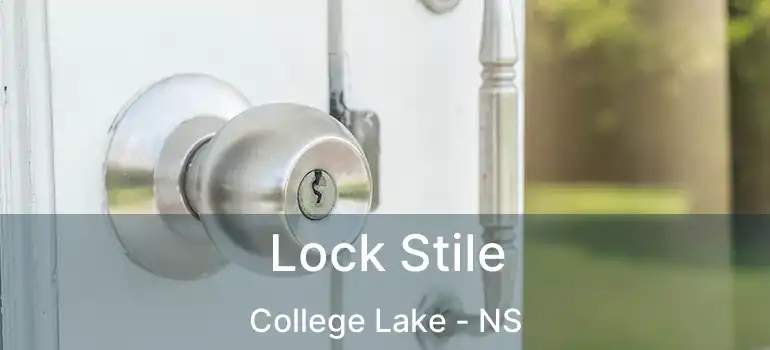  Lock Stile College Lake - NS