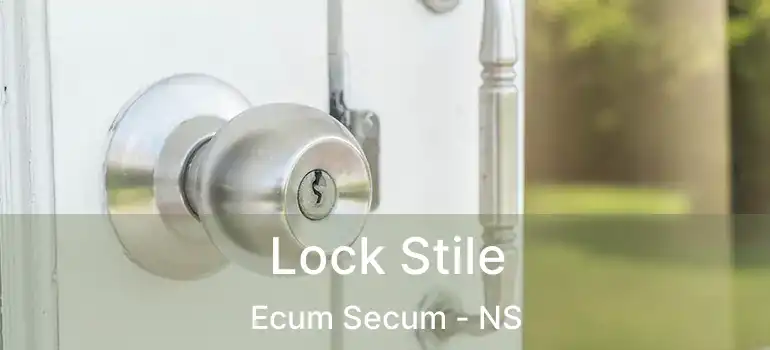  Lock Stile Ecum Secum - NS