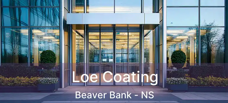  Loe Coating Beaver Bank - NS