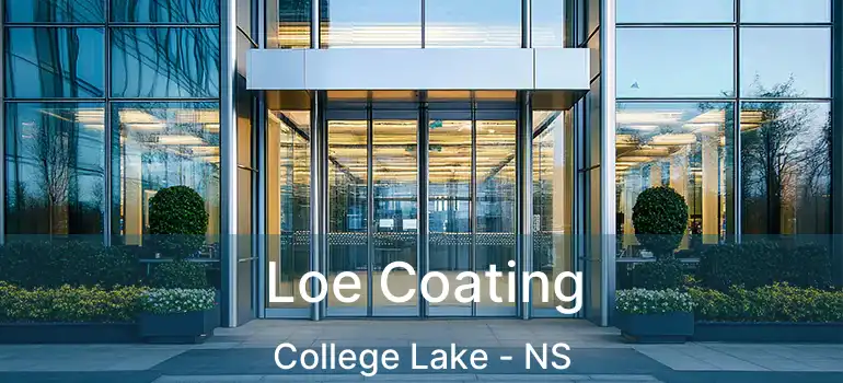  Loe Coating College Lake - NS