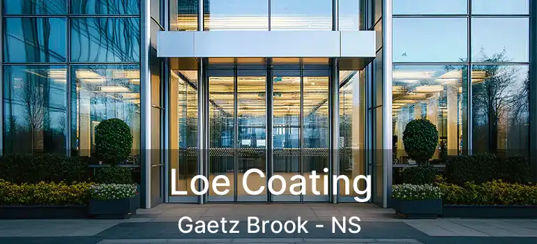  Loe Coating Gaetz Brook - NS