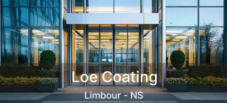  Loe Coating Limbour - NS