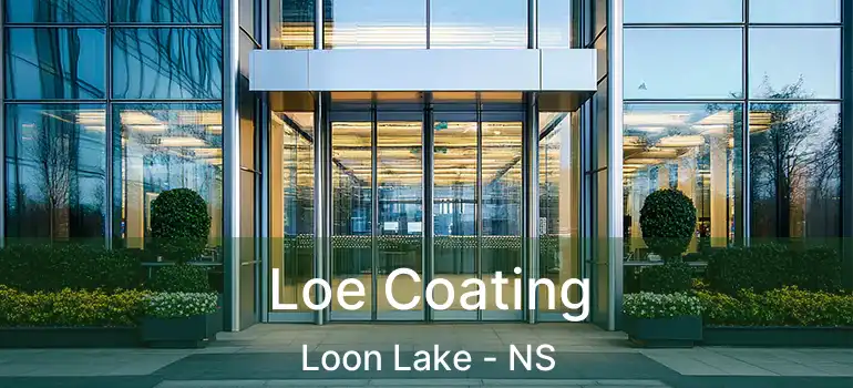  Loe Coating Loon Lake - NS