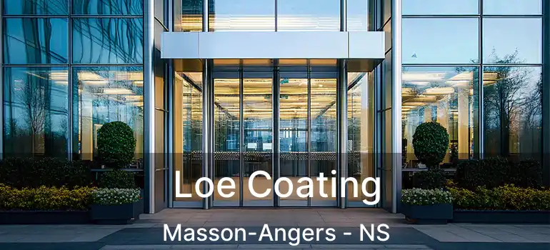  Loe Coating Masson-Angers - NS