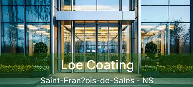  Loe Coating Saint-Fran?ois-de-Sales - NS