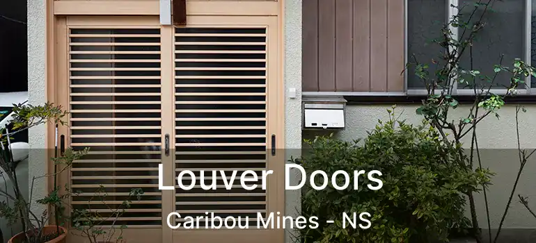  Louver Doors Caribou Mines - NS