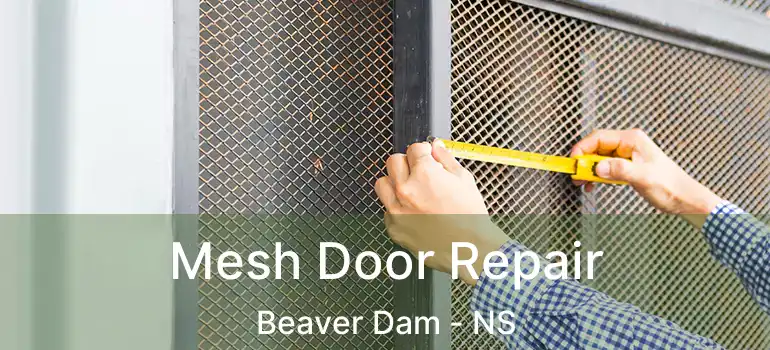  Mesh Door Repair Beaver Dam - NS