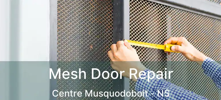  Mesh Door Repair Centre Musquodoboit - NS