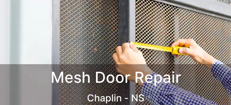  Mesh Door Repair Chaplin - NS