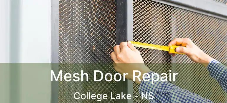  Mesh Door Repair College Lake - NS