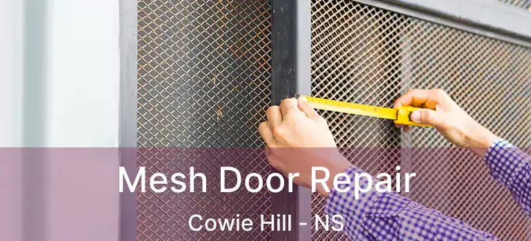  Mesh Door Repair Cowie Hill - NS