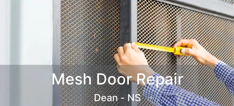  Mesh Door Repair Dean - NS