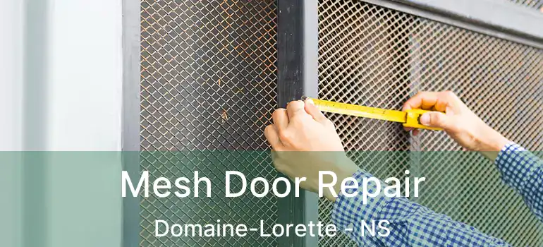  Mesh Door Repair Domaine-Lorette - NS