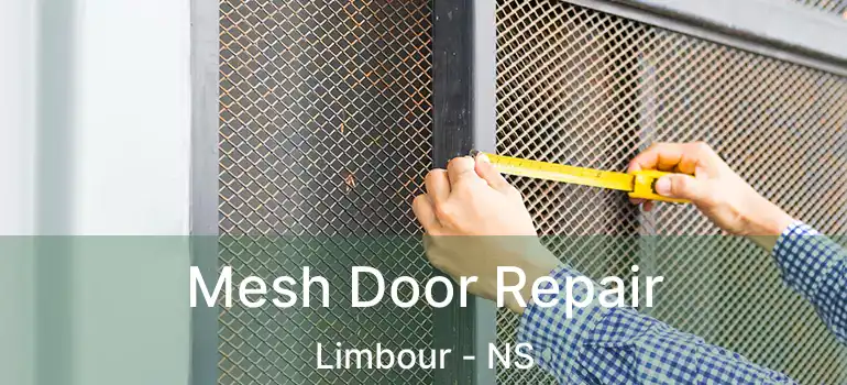  Mesh Door Repair Limbour - NS