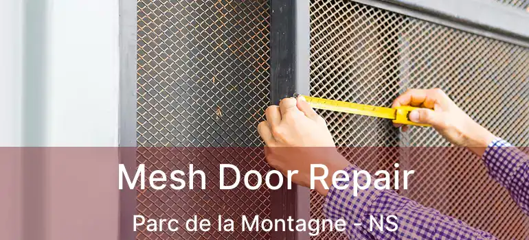  Mesh Door Repair Parc de la Montagne - NS