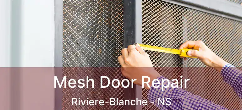  Mesh Door Repair Riviere-Blanche - NS