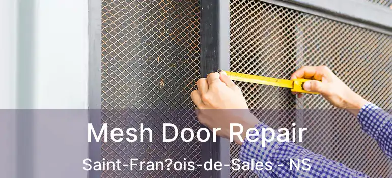  Mesh Door Repair Saint-Fran?ois-de-Sales - NS