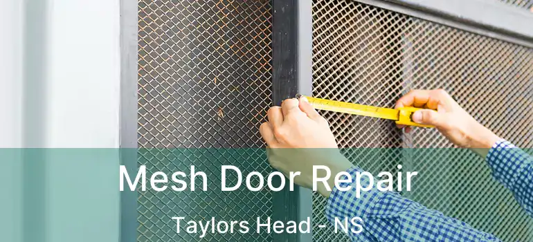  Mesh Door Repair Taylors Head - NS