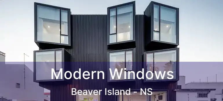  Modern Windows Beaver Island - NS