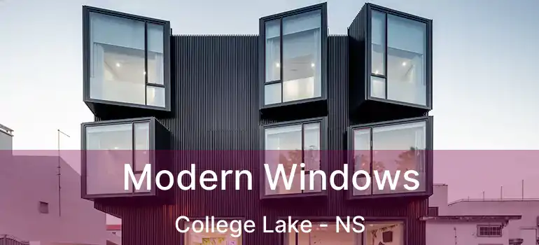  Modern Windows College Lake - NS